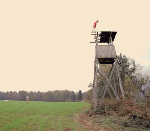 Srandovné gify - 20.11.14