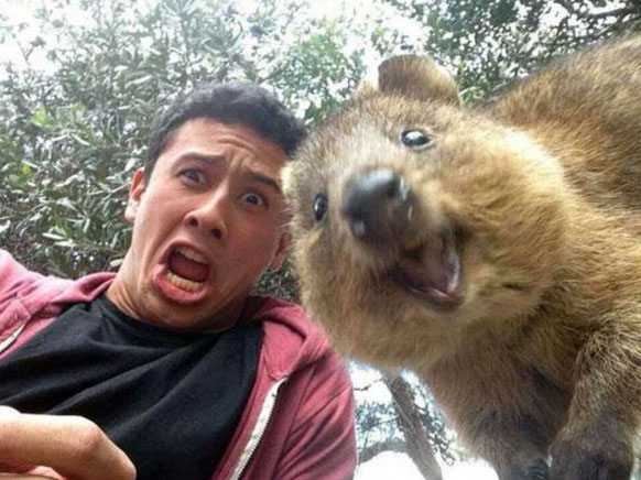 Najúžasnejšie selfies, aké kedy boli odfotené