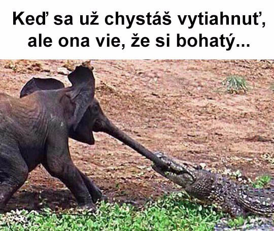 Zábavné obrázky - 16.10.15