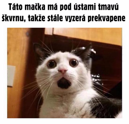 Srandovné obrázky - 3.12.15