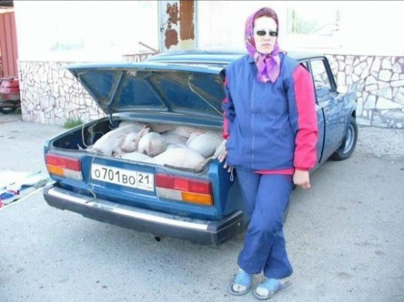Tomu sa hovorí svinčík v kufri