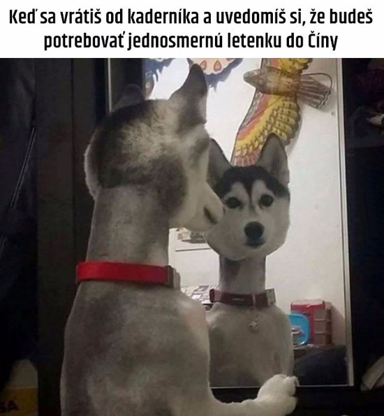 Funny obrázky - 19.8.16