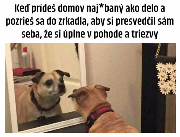 Zábavné obrázky - 27.8.16