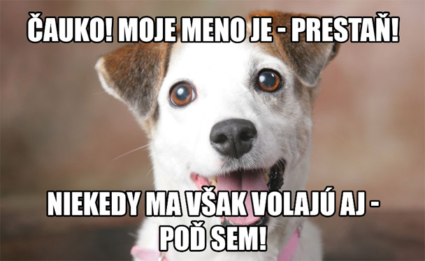 Funny obrázky - 24.10.16