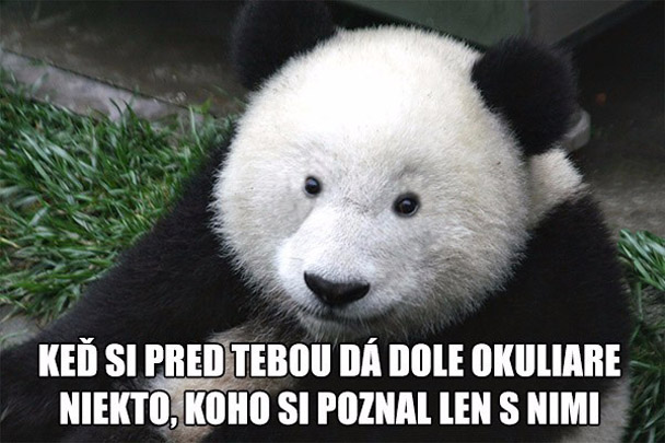 Srandovné obrázky - 7.12.16