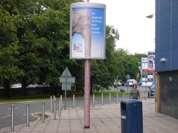 Dômyselné reklamy