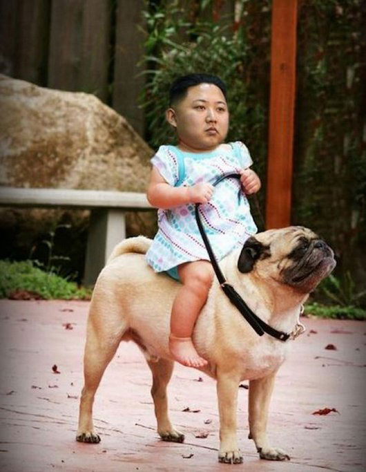 Žartíky s photoshopom II.